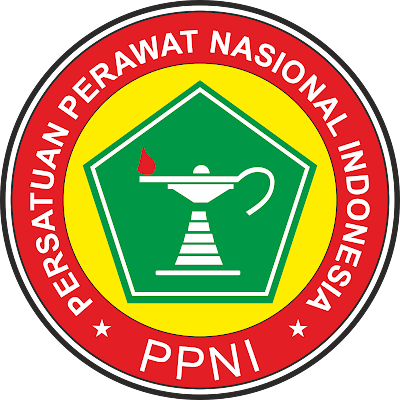 Website Pemerintah Persatuan Perawat Nasional Indonesia Koto Calang